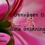 Genvägen till dina önskningar