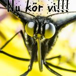 Serie om Attraktionslagen, Del 2